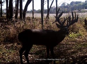 200 class deer hunt