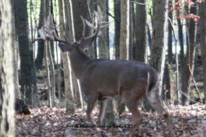 high fence Hunting Preserves ohio
