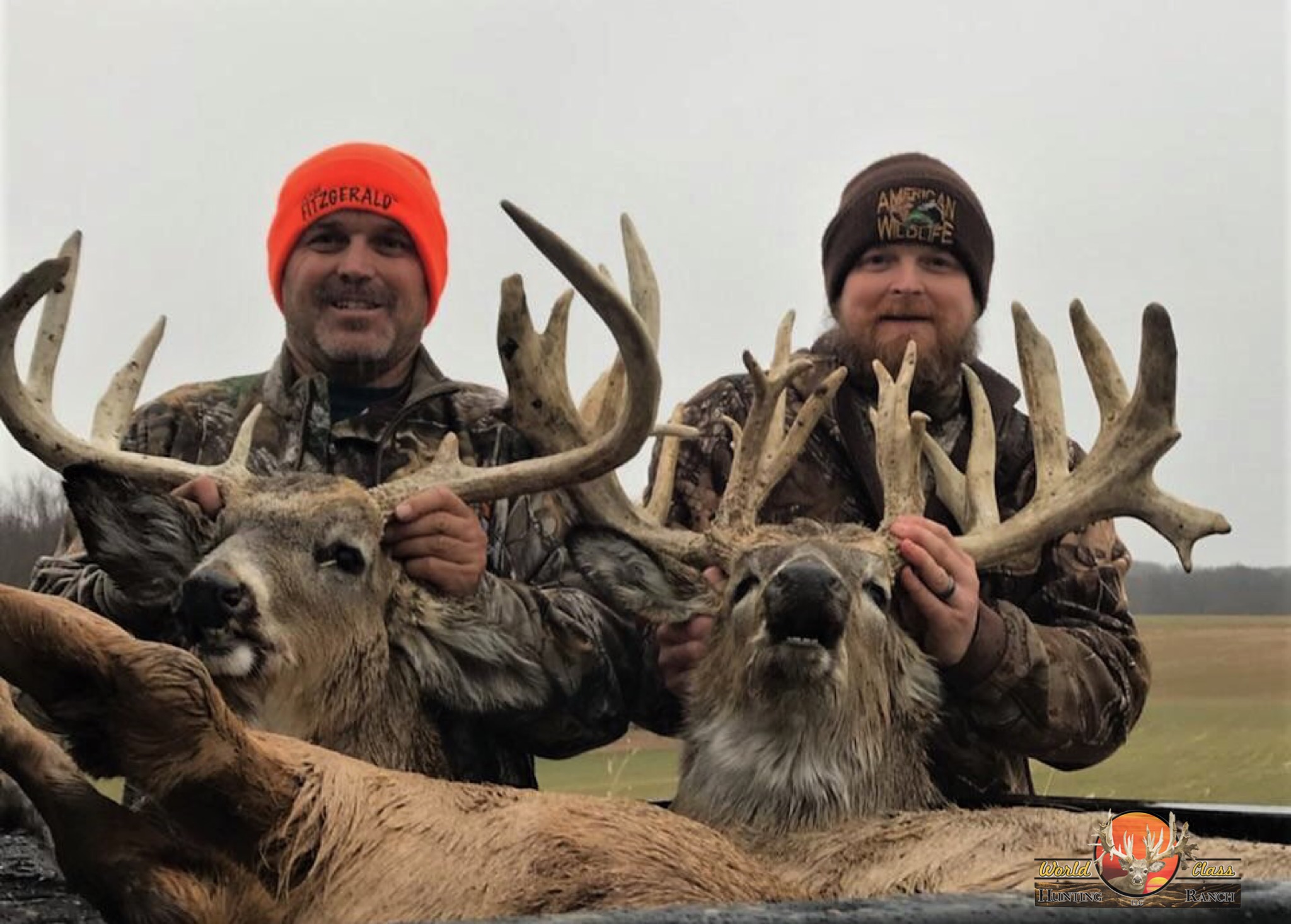 high fence deer hunting, ohio, guided whitetail hunt, ohio deer farm